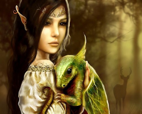 elfská princezna a dráče